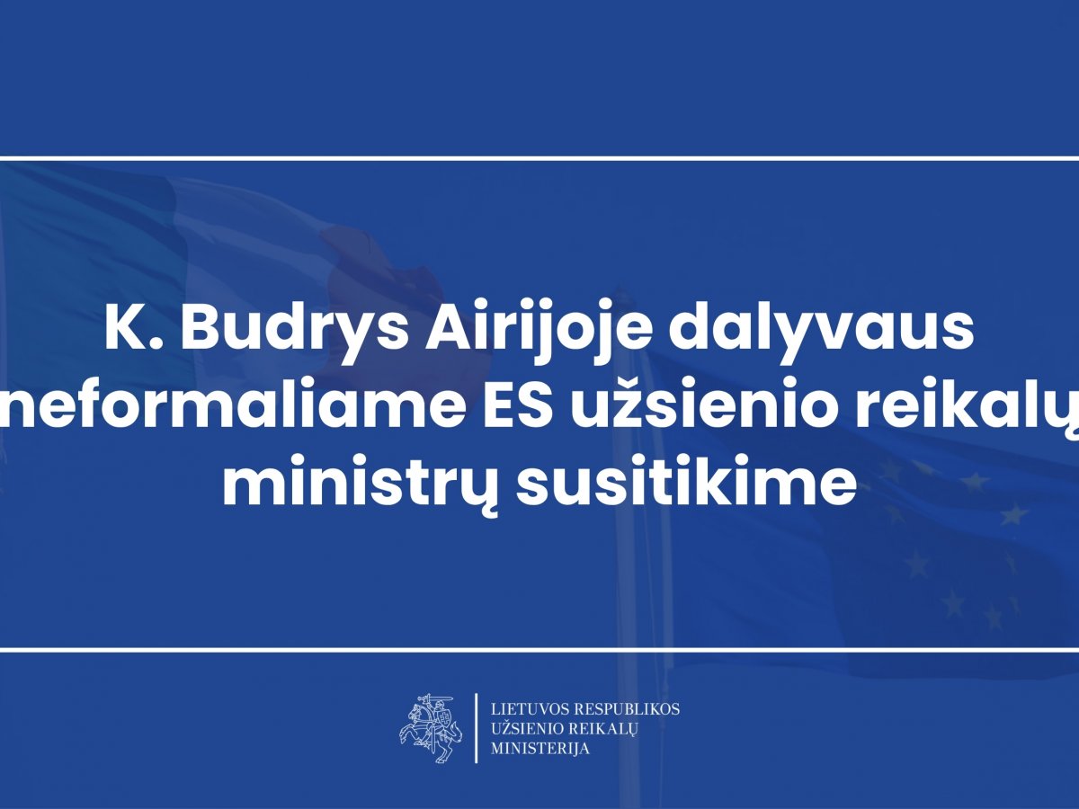 K. Budrys Airijoje dalyvaus neformaliame ES užsienio reikalų ministrų susitikime