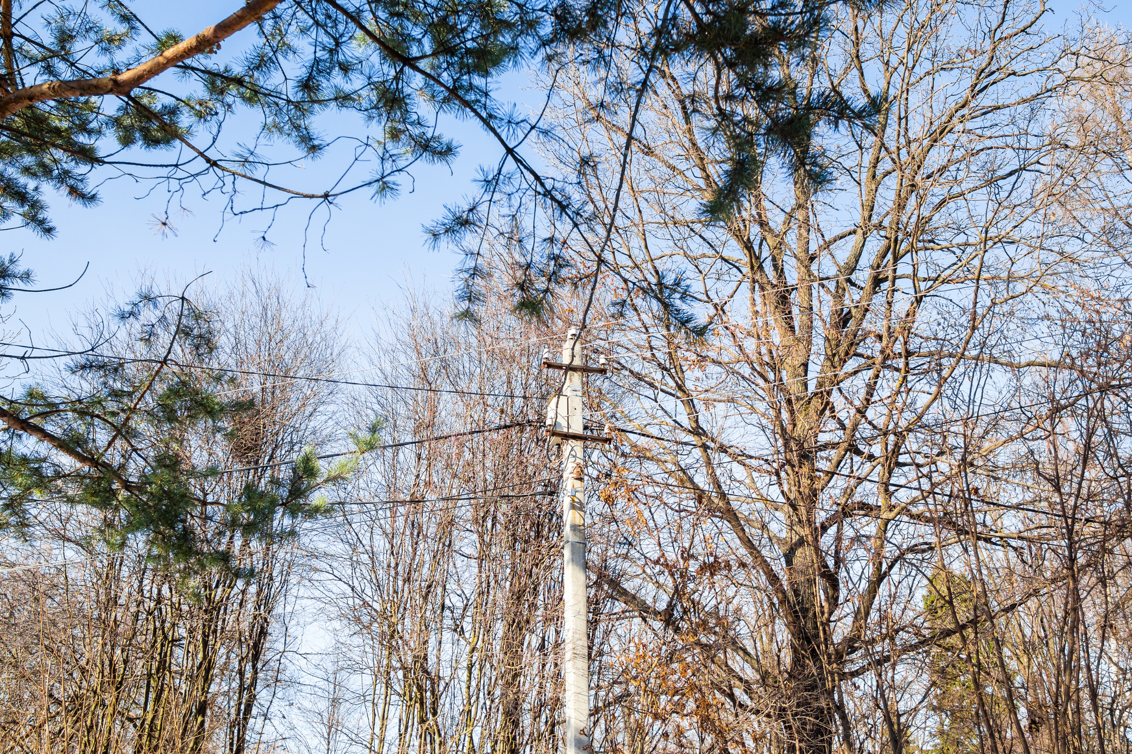 ESO tęsia audros padarinių šalinimo darbus: elektros tiekimas atkurtas beveik 100 tūkst. klientų, nors tinklo pažeidimų skaičius vis dar auga
