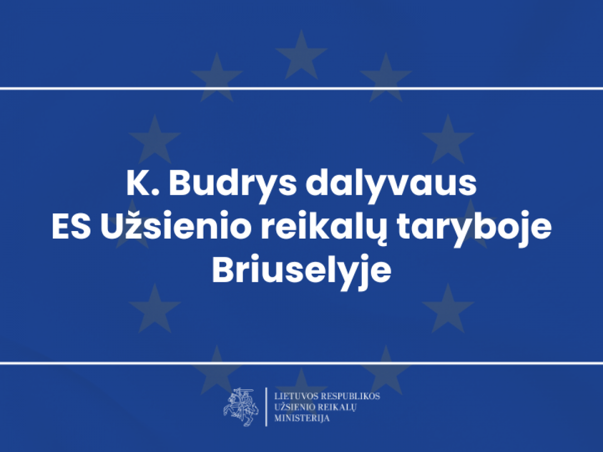 Užsienio reikalų ministras K. Budrys dalyvaus ES Užsienio reikalų taryboje Briuselyje