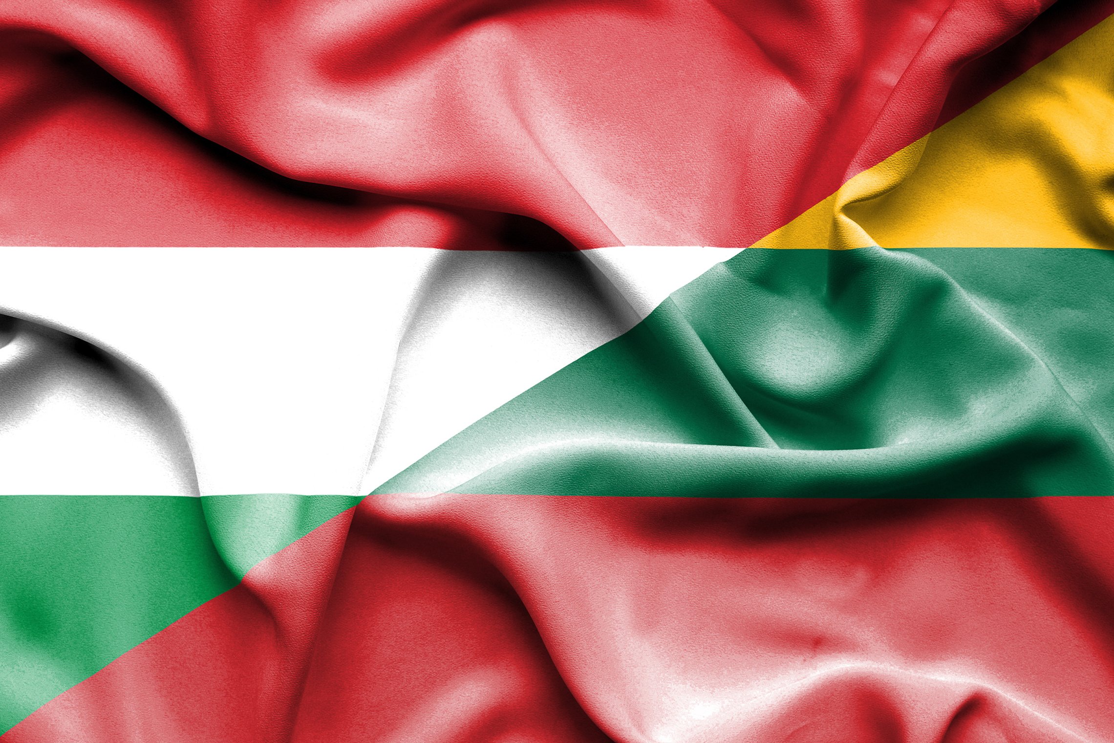 Premjeras pasveikino Vengriją nacionalinės šventės proga