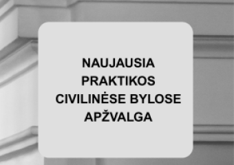 Lietuvos apeliacinio teismo 2026 m. kovo–birželio mėn. praktikos civilinėse bylose apžvalga