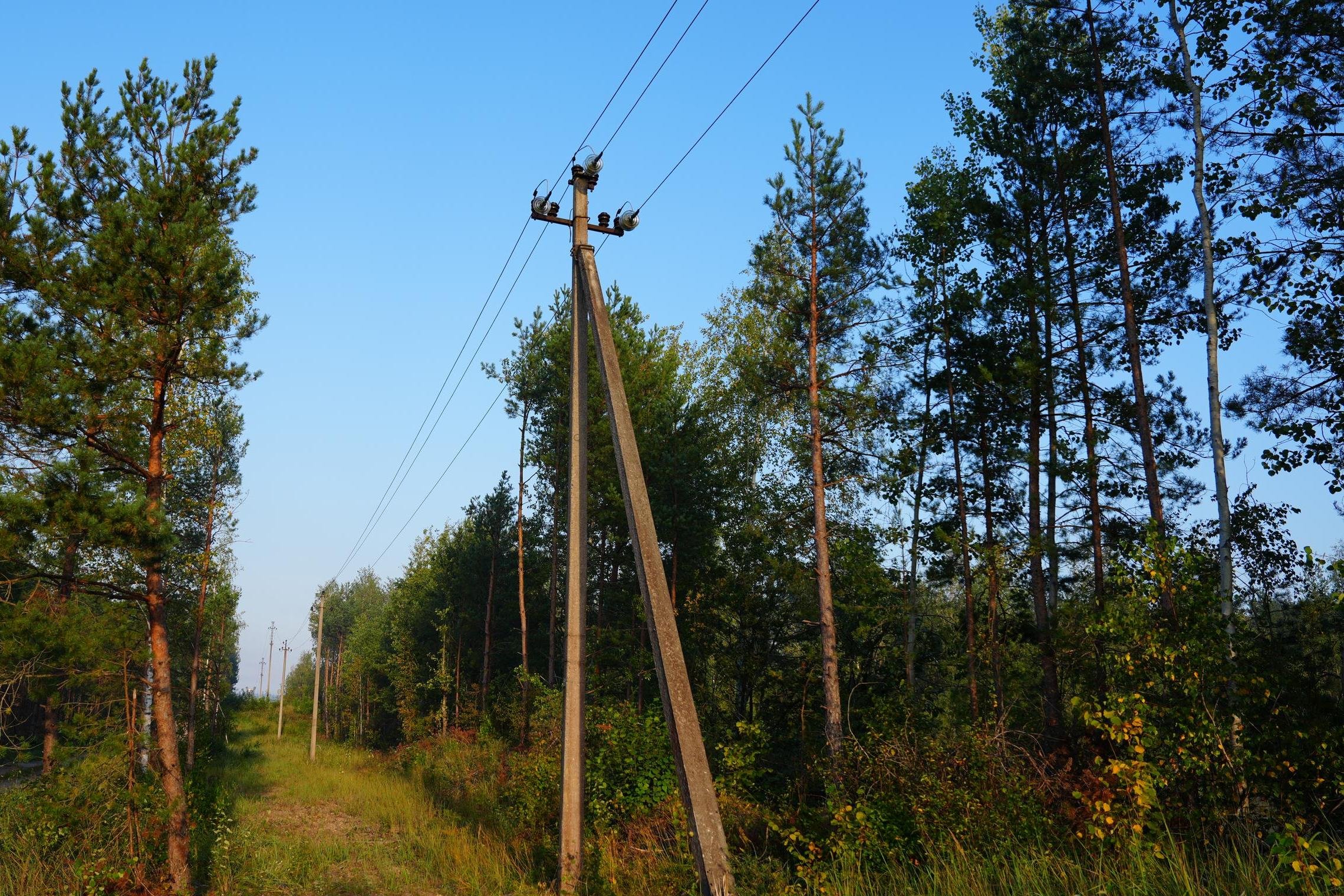 ESO pajėgos šalina audros padarinius: elektros tiekimo atstatymo darbai