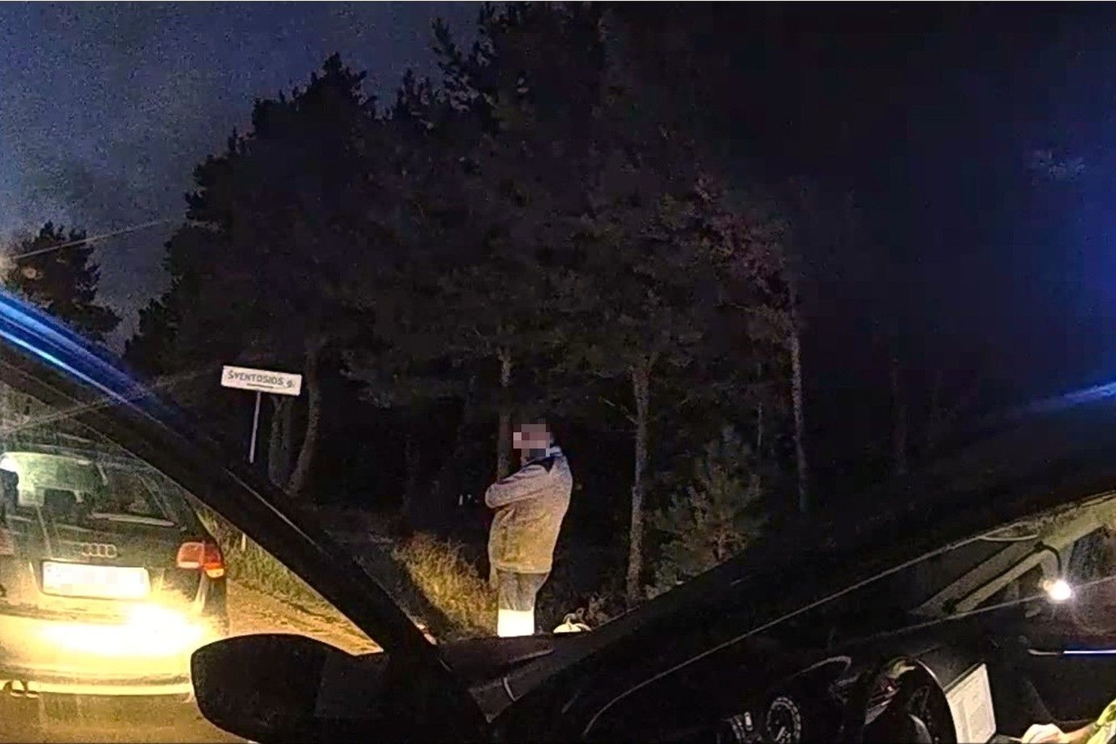 Rugsėjo 1-osios naktis Palangoje: trijų padauginusių vyrų ekipaže girčiausias – beteisis vairuotojas (foto)