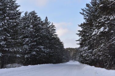 Teismui perduota baudžiamoji byla dėl tragiško eismo įvykio Kaišiadorių rajone
