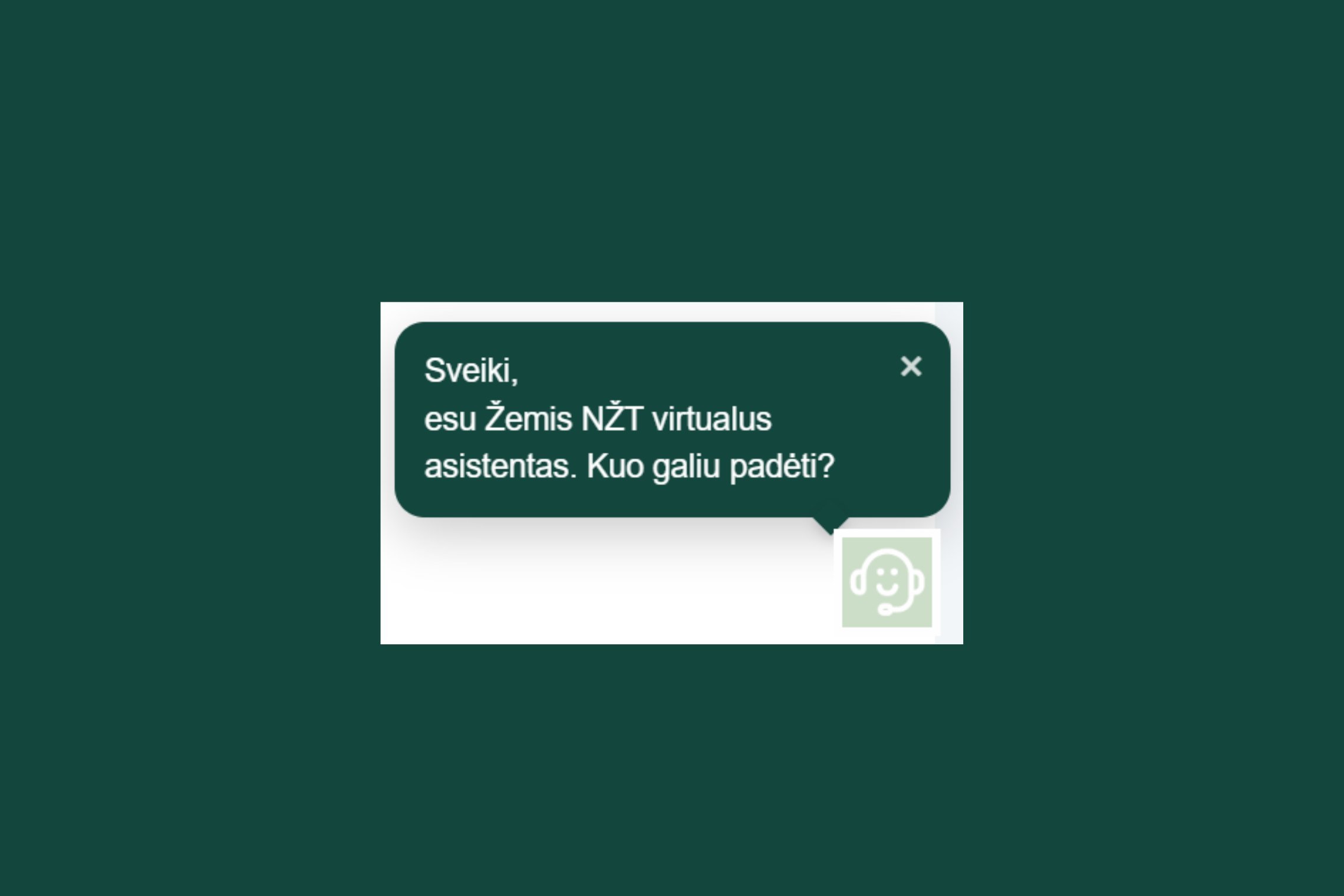 NŽT svetainėje pradeda veikti virtualus asistentas Žemis