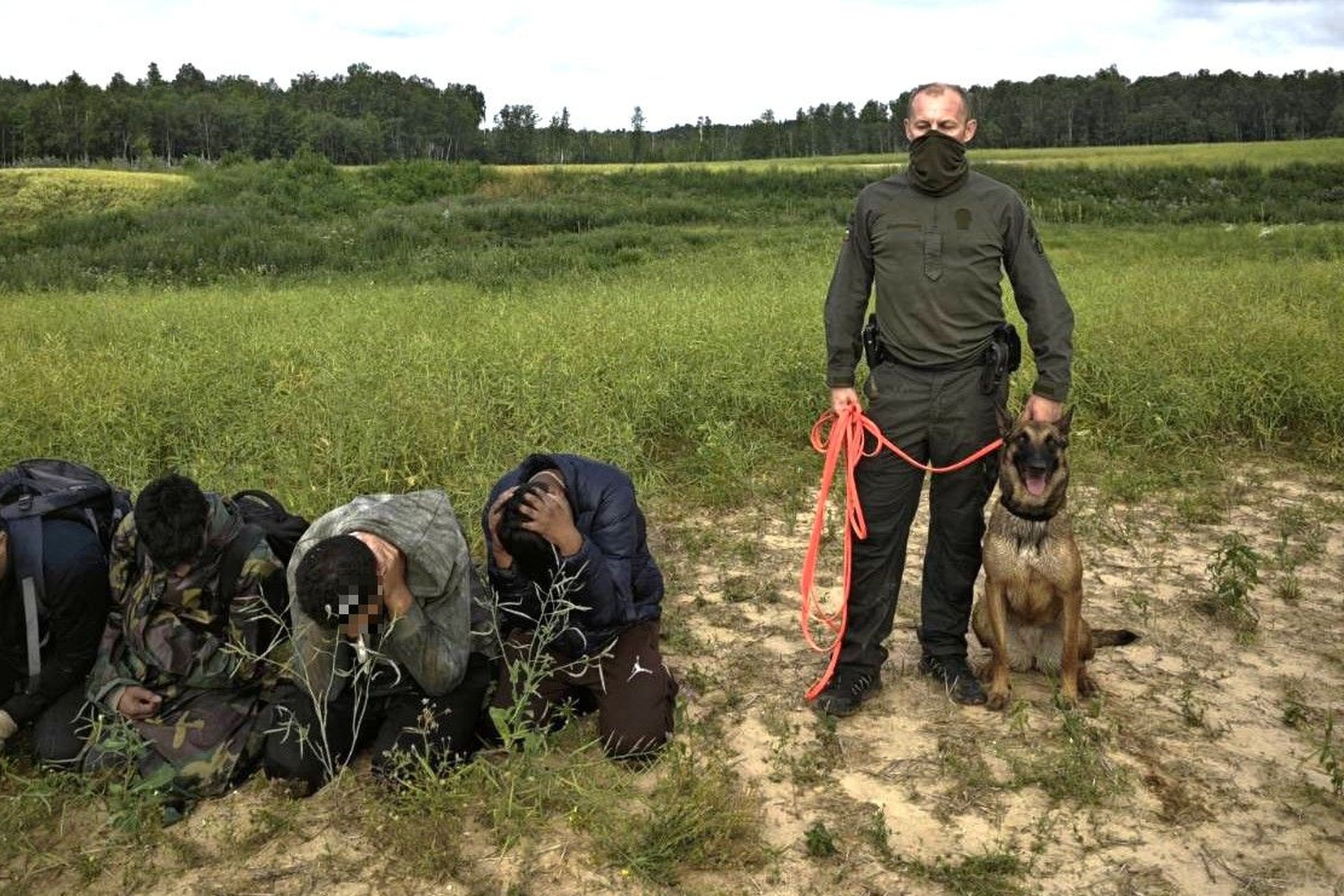 Iš Baltarusijos į Latviją įsibrovusių neteisėtų migrantų grupę 27 km  sekė ir sulaikė Neringos užkardos kinologas su belgų avigane Moka (foto)