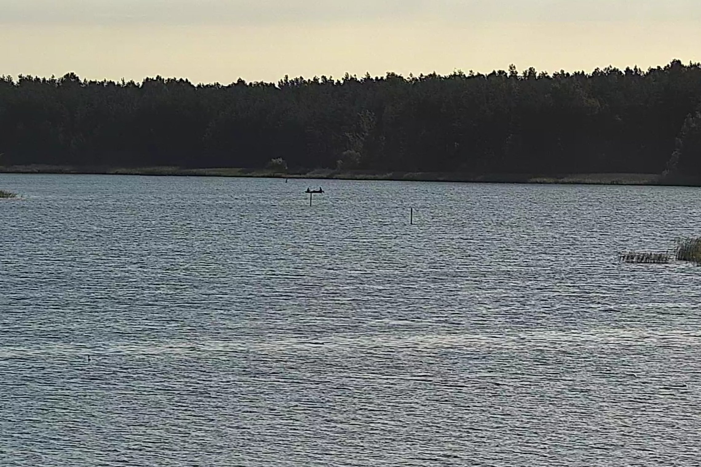 Purvėnų tvenkinyje žvejoję sutuoktiniai netyčia kirto valstybės sieną (foto)